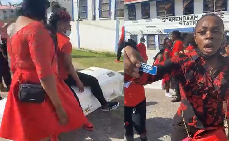 Red Ants killed Guyana Press