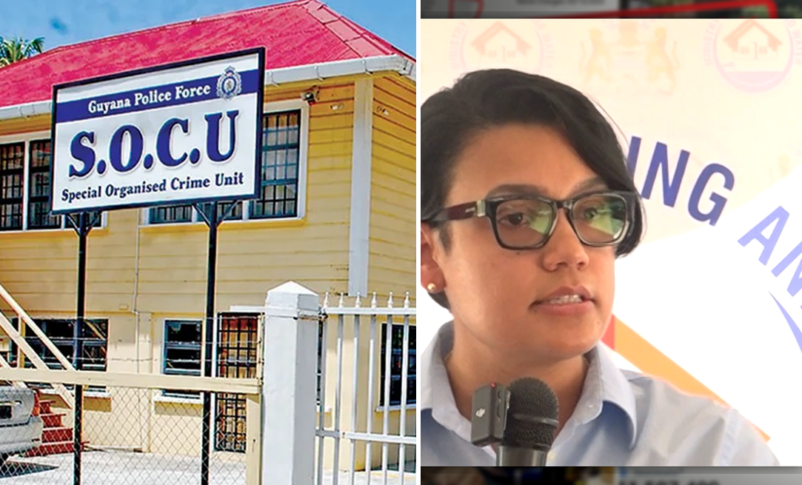 Money Laundering Minister Rodrigues